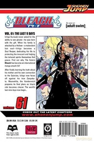 Bleach 61 - Tite Kubo [KSIĄŻKA]