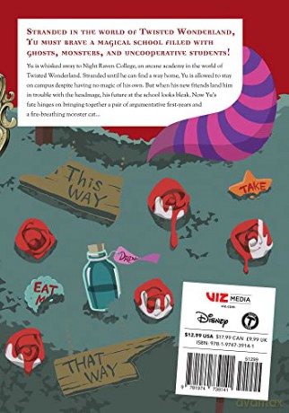 Disney Twisted Wonderland Vol 1 - Yana Toboso [KSIĄŻKA]
