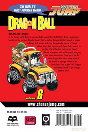 Dragon Ball Vol 6 - Unknown [KSIĄŻKA]