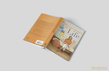 Brushstrokes Of Life Hb - Anne Neilson [KSIĄŻKA]