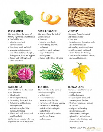 Essential Oil Recipes For Home/Body Care - Stephanie Ariel [KSIĄŻKA]