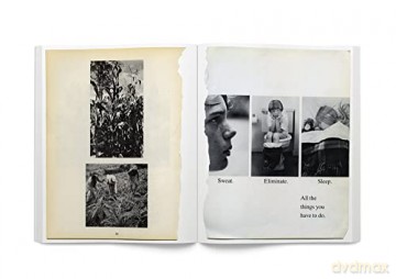 Carmen Winant Arrangements - Carmen Winant [KSIĄŻKA]