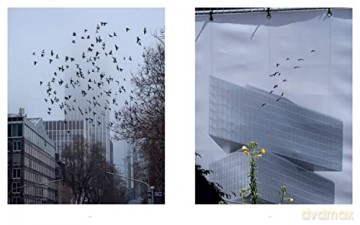 Anastasia Samoylova Image Cities - David Campany [KSIĄŻKA]