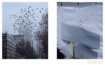 Anastasia Samoylova Image Cities - David Campany [KSIĄŻKA]
