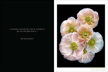 Beauty In Bloom - Debi Shapiro [KSIĄŻKA]