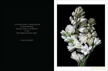 Beauty In Bloom - Debi Shapiro [KSIĄŻKA]