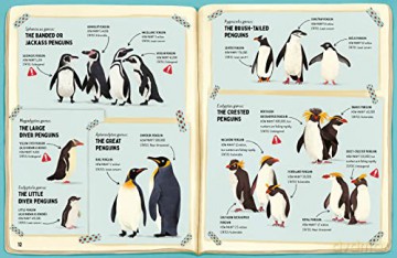 Do Penguins Like The Cold - Huw Lewis Jones [KSIĄŻKA]