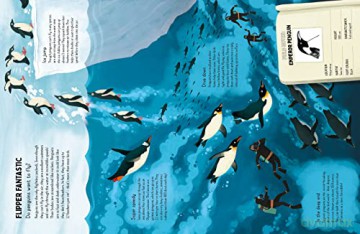 Do Penguins Like The Cold - Huw Lewis Jones [KSIĄŻKA]