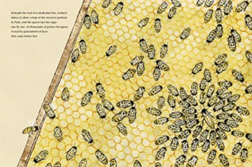Bees Of Notredame - Meghan P. Browne [KSIĄŻKA]