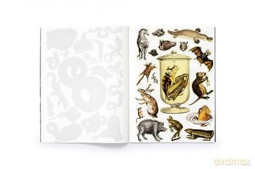 Cut Up This Book/Create Own Underworld - Eliza Scott [KSIĄŻKA]