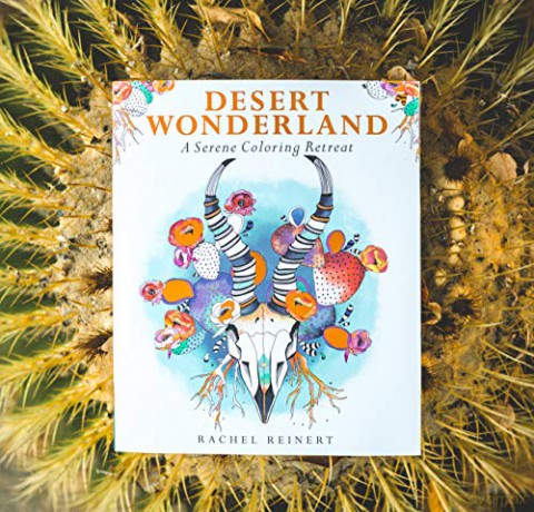 Desert Wonderland - Rachel Reinert [KSIĄŻKA]