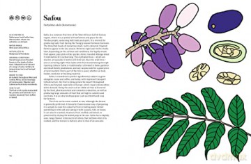 Edible - Kevin Et Al Hobbs [KSIĄŻKA]