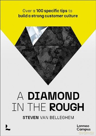 Diamond In The Rough [KSIĄŻKA]