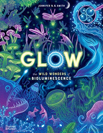 Glow - Jennifer N R Smith [KSIĄŻKA]