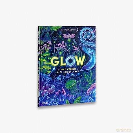 Glow - Jennifer N R Smith [KSIĄŻKA]