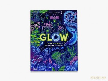 Glow - Jennifer N R Smith [KSIĄŻKA]