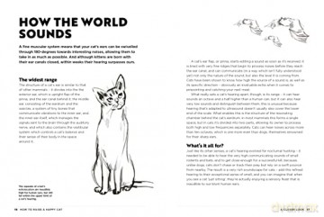 How To Raise A Happy Cat - Sophie Collins [KSIĄŻKA]