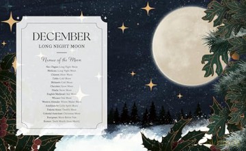 Full Moon Yearbook - Julie Peters [KSIĄŻKA]