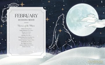 Full Moon Yearbook - Julie Peters [KSIĄŻKA]