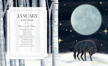 Full Moon Yearbook - Julie Peters [KSIĄŻKA]