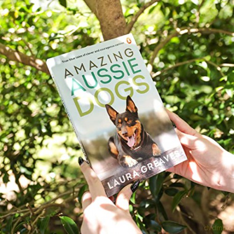 Amazing Aussie Dogs - Laura Greaves [KSIĄŻKA]
