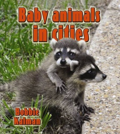 Baby Animals In The City - Unknown [KSIĄŻKA]
