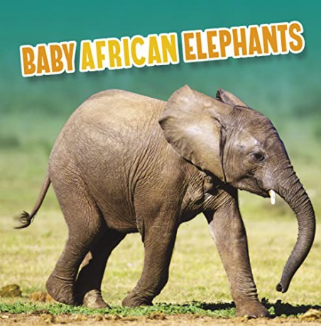 Baby African Elephants - Martha Rustad [KSIĄŻKA]