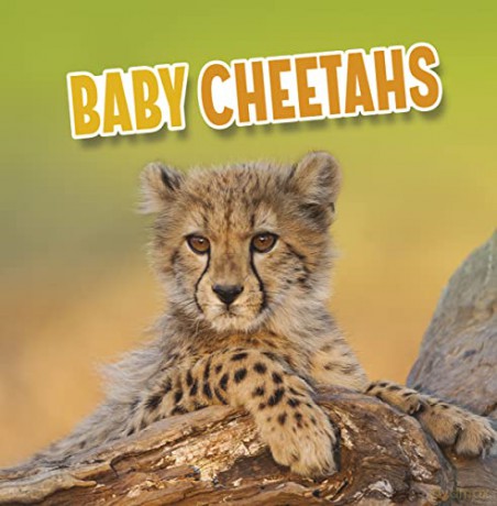 Baby Cheetahs - Martha Rustad [KSIĄŻKA]
