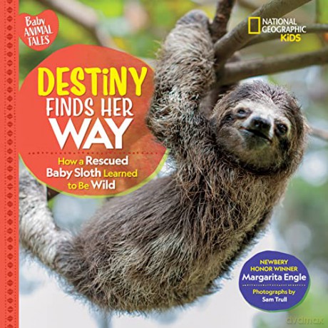 Destiny Finds Her Way - Margarita Engle [KSIĄŻKA]