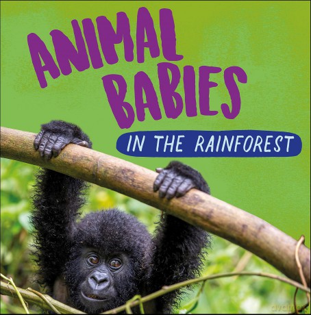 Animal Babies In The Rainforest - Sarah Ridley [KSIĄŻKA]