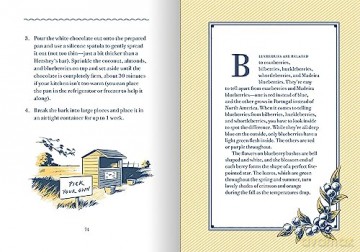 Blueberries For Sal Cookbook - Robert Mccloskey [KSIĄŻKA]