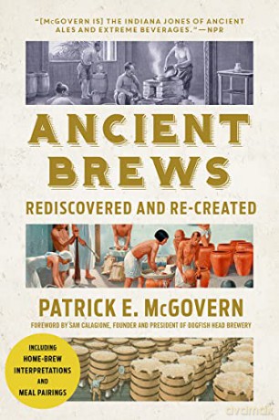 Ancient Brews - Patrick E Mcgovern [KSIĄŻKA]