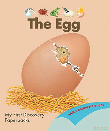 Egg - Rene Mettler [KSIĄŻKA]
