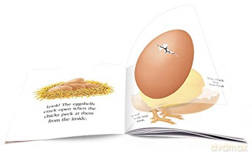 Egg - Rene Mettler [KSIĄŻKA]