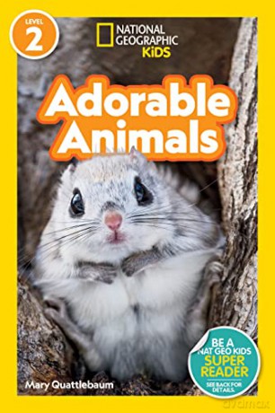 Adorable Animals - Mary Quattlebaum [KSIĄŻKA]