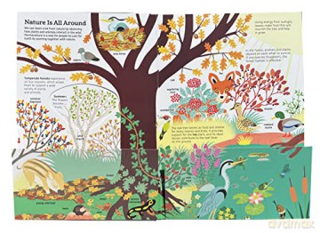 Caring For Earth - Sandra Laboucarie [KSIĄŻKA]