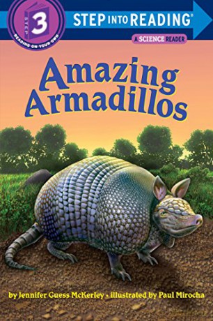 Amazing Armadillos - Mckerley Jenni [KSIĄŻKA]