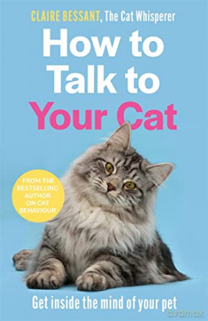 How To Talk To Your Cat - Claire Bessant [KSIĄŻKA]