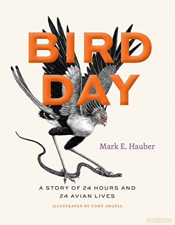 Bird Day - Mark E Hauber [KSIĄŻKA]