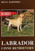 Labrador i inne retrivery 2 - Radomska Beata [KSIĄŻKA]