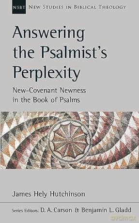 Answering The Psalmists Perplexity New [KSIĄŻKA]
