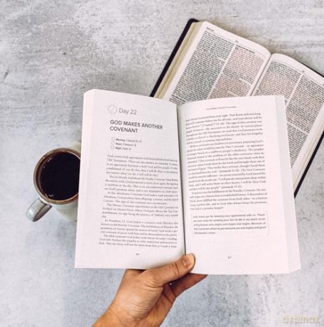 90day Bible Reading Challenge - Mary Demuth [KSIĄŻKA]