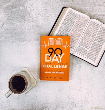 90day Bible Reading Challenge - Mary Demuth [KSIĄŻKA]