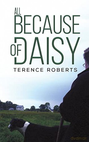 All Because Of Daisy - Terence Roberts [KSIĄŻKA]