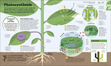 How Biology Works - Dk [KSIĄŻKA]