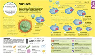 How Biology Works - Dk [KSIĄŻKA]