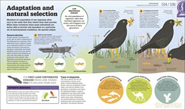 How Biology Works - Dk [KSIĄŻKA]