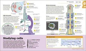 How Biology Works - Dk [KSIĄŻKA]