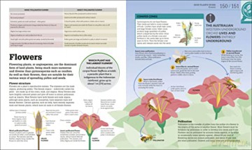 How Biology Works - Dk [KSIĄŻKA]