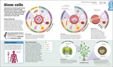 How Biology Works - Dk [KSIĄŻKA]